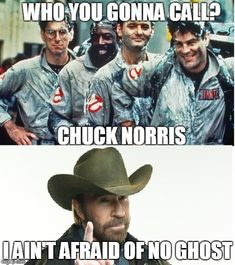 Chuck Norris: terminator